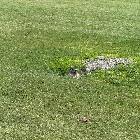 Maison Carrel Elegant 8 ברויל-קרוויניה