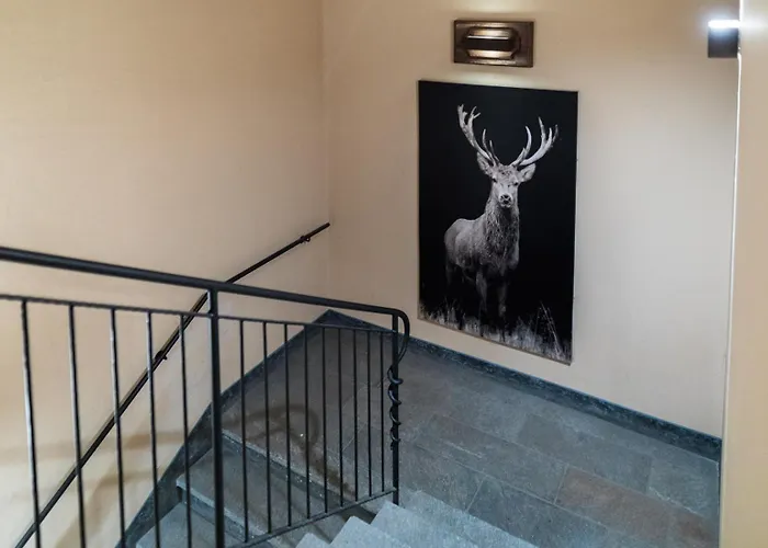 Apartment Maison Carrel Elegant 8 *