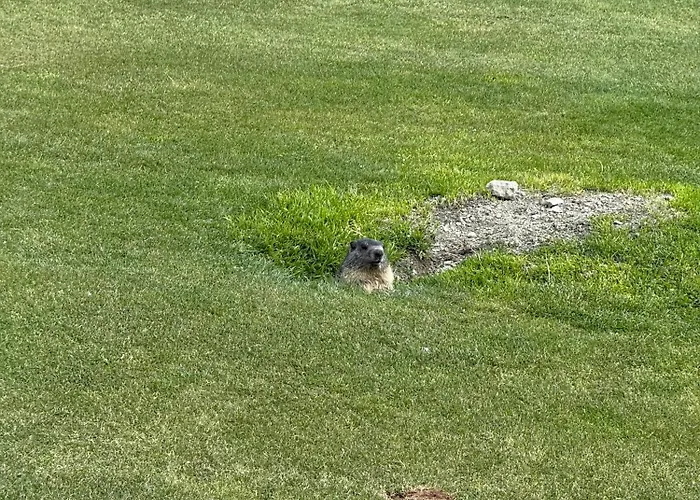 Maison Carrel Elegant 8 Breuil-Cervinia